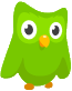 DuoLingo - Green owl mascot. 